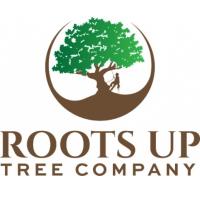 Roots Up Tree Company image 1